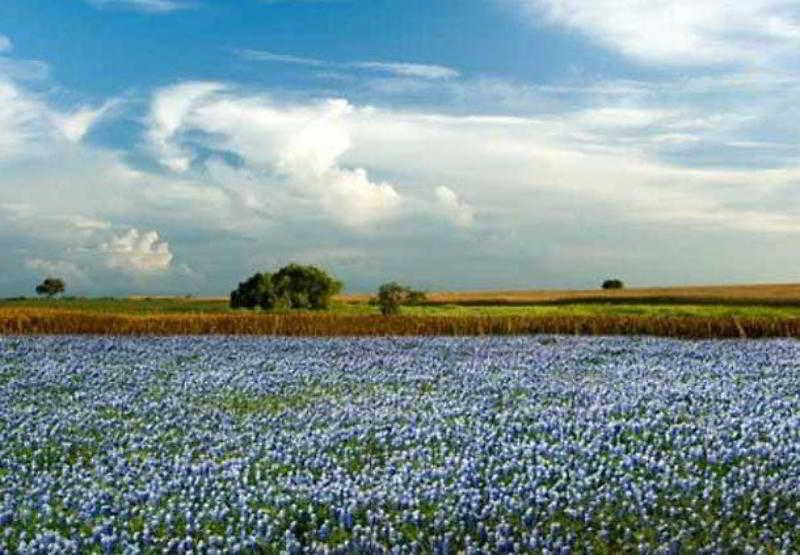 Courtyard Marriott Houston Pearland Hotel Luaran gambar